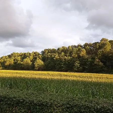 'le Bergeron' * Seignosse