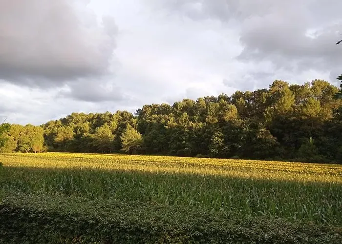 'le Bergeron' * Seignosse